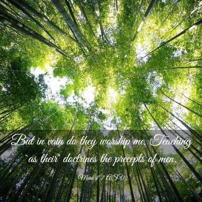 Picture 03 - Mark 7:7 ASV - But in vain do they worship me, Teaching `as - Bible Verse Picture