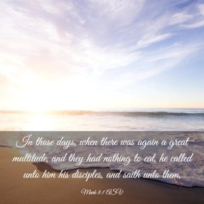 Picture 03 - Mark 8:1 ASV - In those days, when there was again a great - Bible Verse Picture