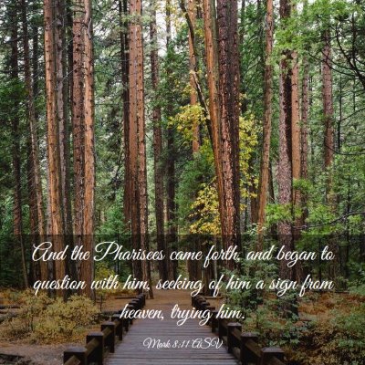 Picture 03 - Mark 8:11 ASV - And the Pharisees came forth, and began to - Bible Verse Picture