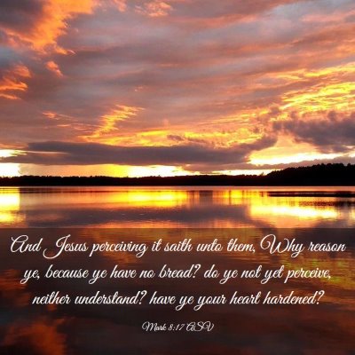Picture 03 - Mark 8:17 ASV - And Jesus perceiving it saith unto them, Why - Bible Verse Picture