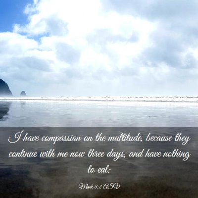 Picture 03 - Mark 8:2 ASV - I have compassion on the multitude, because they - Bible Verse Picture