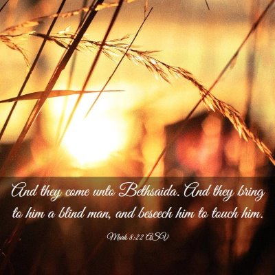 Picture 03 - Mark 8:22 ASV - And they come unto Bethsaida. And they bring to - Bible Verse Picture