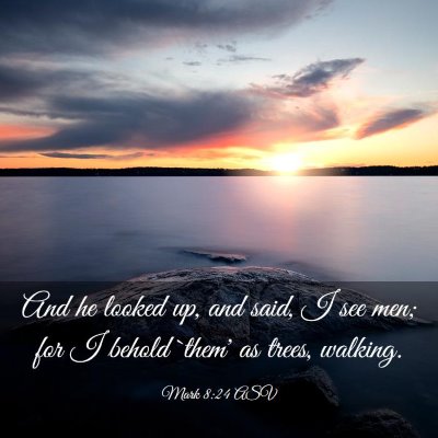 Picture 03 - Mark 8:24 ASV - And he looked up, and said, I see men; for I - Bible Verse Picture