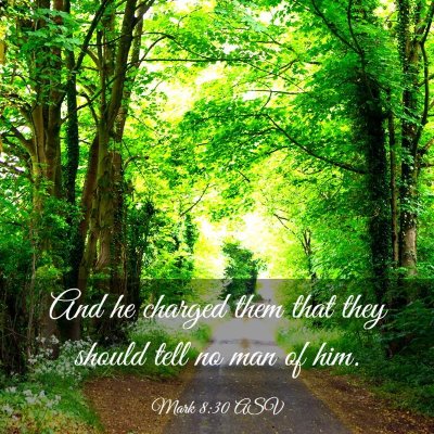 Picture 03 - Mark 8:30 ASV - And he charged them that they should tell no man - Bible Verse Picture