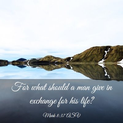 Picture 03 - Mark 8:37 ASV - For what should a man give in exchange for his - Bible Verse Picture