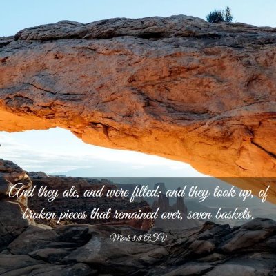 Picture 03 - Mark 8:8 ASV - And they ate, and were filled: and they took up, - Bible Verse Picture
