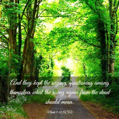 Picture 03 - Mark 9:10 ASV - And they kept the saying, questioning among - Bible Verse Picture