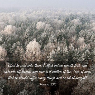 Picture 03 - Mark 9:12 ASV - And he said unto them, Elijah indeed cometh - Bible Verse Picture