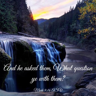 Picture 03 - Mark 9:16 ASV - And he asked them, What question ye with - Bible Verse Picture