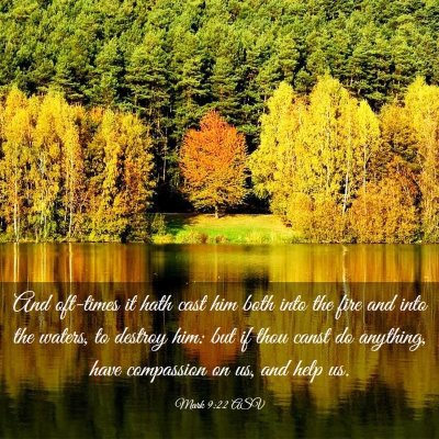 Picture 03 - Mark 9:22 ASV - And oft-times it hath cast him both into the fire - Bible Verse Picture