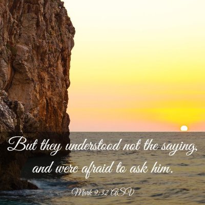 Picture 03 - Mark 9:32 ASV - But they understood not the saying, and were - Bible Verse Picture