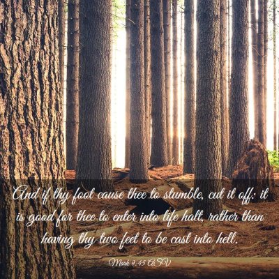 Picture 03 - Mark 9:45 ASV - And if thy foot cause thee to stumble, cut it - Bible Verse Picture