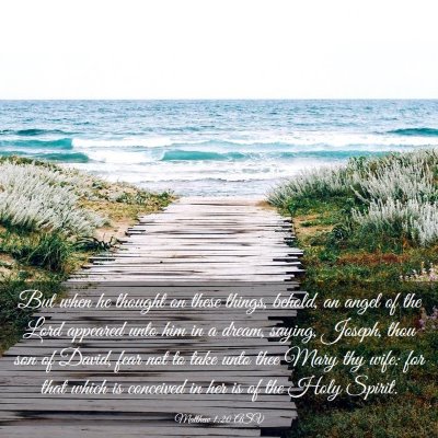 Picture 03 - Matthew 1:20 ASV - But when he thought on these things, behold, an - Bible Verse Picture