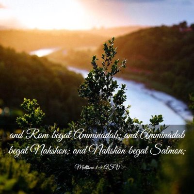 Picture 03 - Matthew 1:4 ASV - and Ram begat Amminadab; and Amminadab begat - Bible Verse Picture