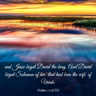 Picture 03 - Matthew 1:6 ASV - and Jesse begat David the king. And David begat - Bible Verse Picture