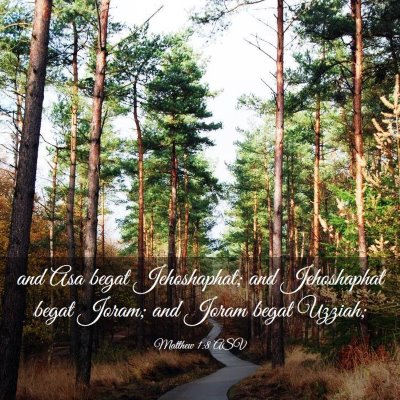 Picture 03 - Matthew 1:8 ASV - and Asa begat Jehoshaphat; and Jehoshaphat begat - Bible Verse Picture