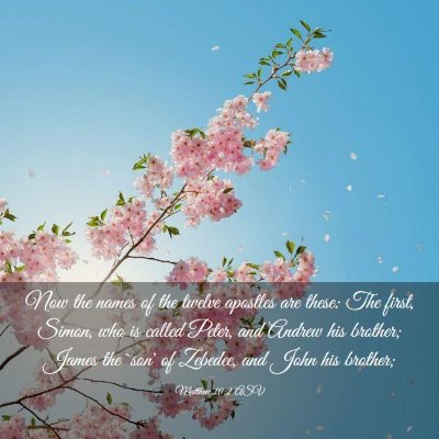 Picture 03 - Matthew 10:2 ASV - Now the names of the twelve apostles are these: - Bible Verse Picture