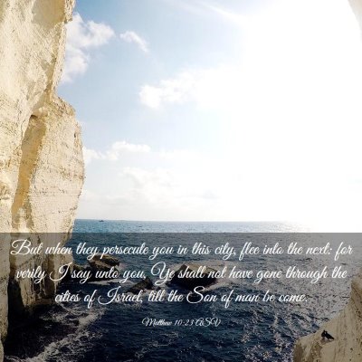 Picture 03 - Matthew 10:23 ASV - But when they persecute you in this city, flee - Bible Verse Picture