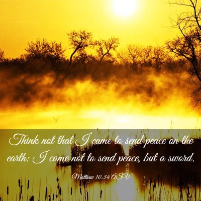 Picture 03 - Matthew 10:34 ASV - Think not that I came to send peace on the earth: - Bible Verse Picture