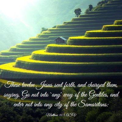 Picture 03 - Matthew 10:5 ASV - These twelve Jesus sent forth, and charged them, - Bible Verse Picture