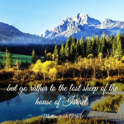 Picture 03 - Matthew 10:6 ASV - but go rather to the lost sheep of the house of - Bible Verse Picture