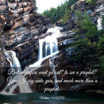 Picture 03 - Matthew 11:9 ASV - But wherefore went ye out? to see a prophet? Yea, - Bible Verse Picture