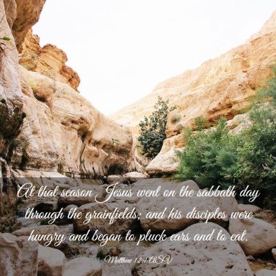 Picture 03 - Matthew 12:1 ASV - At that season Jesus went on the sabbath day - Bible Verse Picture
