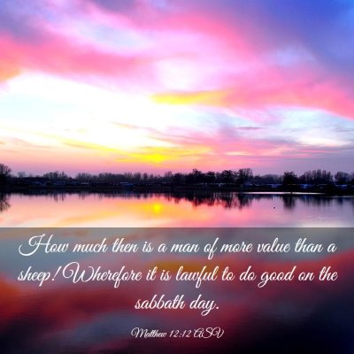 Picture 03 - Matthew 12:12 ASV - How much then is a man of more value than a - Bible Verse Picture