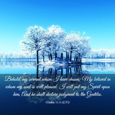 Picture 03 - Matthew 12:18 ASV - Behold, my servant whom I have chosen; My beloved - Bible Verse Picture