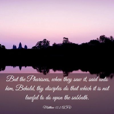 Picture 03 - Matthew 12:2 ASV - But the Pharisees, when they saw it, said unto - Bible Verse Picture