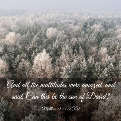 Picture 03 - Matthew 12:23 ASV - And all the multitudes were amazed, and said, Can - Bible Verse Picture