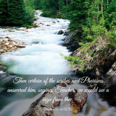 Picture 03 - Matthew 12:38 ASV - Then certain of the scribes and Pharisees - Bible Verse Picture