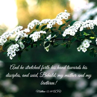 Picture 03 - Matthew 12:49 ASV - And he stretched forth his hand towards his - Bible Verse Picture