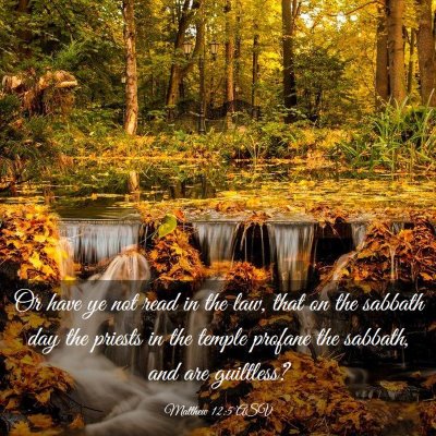 Picture 03 - Matthew 12:5 ASV - Or have ye not read in the law, that on the - Bible Verse Picture