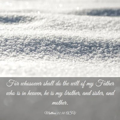 Picture 03 - Matthew 12:50 ASV - For whosoever shall do the will of my Father who - Bible Verse Picture