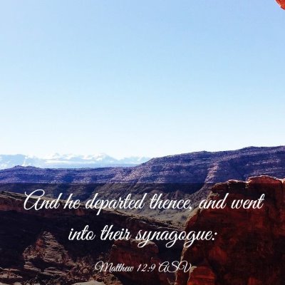 Picture 03 - Matthew 12:9 ASV - And he departed thence, and went into their - Bible Verse Picture