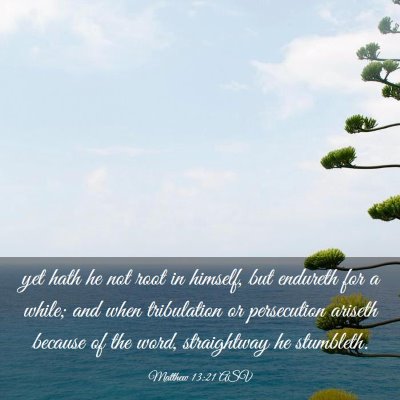 Picture 03 - Matthew 13:21 ASV - yet hath he not root in himself, but endureth for - Bible Verse Picture