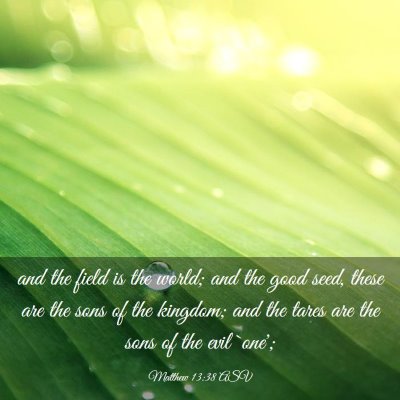Picture 03 - Matthew 13:38 ASV - and the field is the world; and the good seed, - Bible Verse Picture