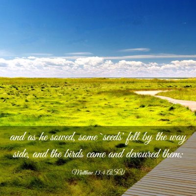 Picture 03 - Matthew 13:4 ASV - and as he sowed, some `seeds' fell by the way - Bible Verse Picture