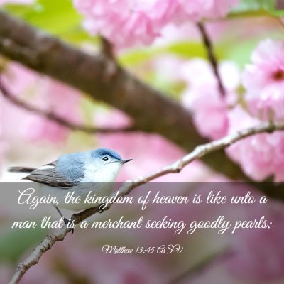 Picture 03 - Matthew 13:45 ASV - Again, the kingdom of heaven is like unto a man - Bible Verse Picture