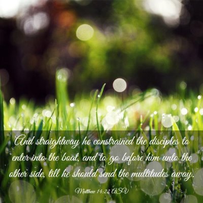 Picture 03 - Matthew 14:22 ASV - And straightway he constrained the disciples to - Bible Verse Picture