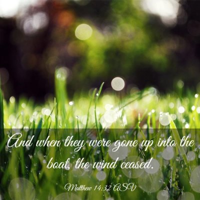 Picture 03 - Matthew 14:32 ASV - And when they were gone up into the boat, the - Bible Verse Picture