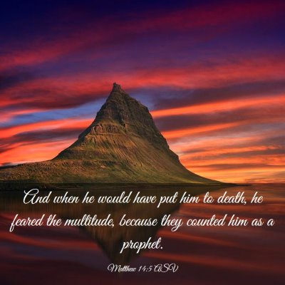Picture 03 - Matthew 14:5 ASV - And when he would have put him to death, he - Bible Verse Picture