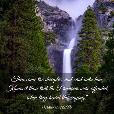 Picture 03 - Matthew 15:12 ASV - Then came the disciples, and said unto him, - Bible Verse Picture