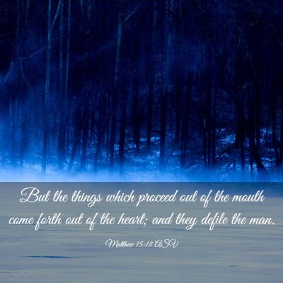 Picture 03 - Matthew 15:18 ASV - But the things which proceed out of the mouth - Bible Verse Picture