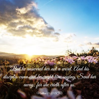 Picture 03 - Matthew 15:23 ASV - But he answered her not a word. And his disciples - Bible Verse Picture