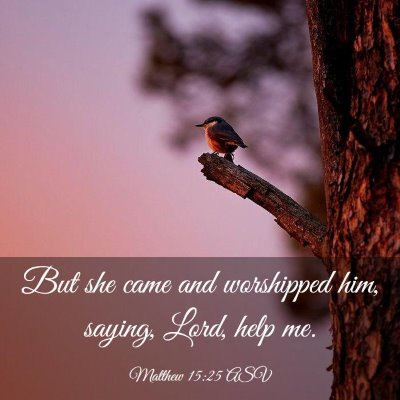 Picture 03 - Matthew 15:25 ASV - But she came and worshipped him, saying, Lord, - Bible Verse Picture