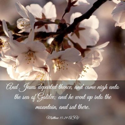 Picture 03 - Matthew 15:29 ASV - And Jesus departed thence, and came nigh unto the - Bible Verse Picture
