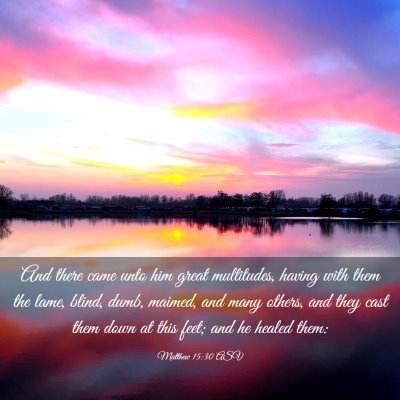 Picture 03 - Matthew 15:30 ASV - And there came unto him great multitudes, having - Bible Verse Picture