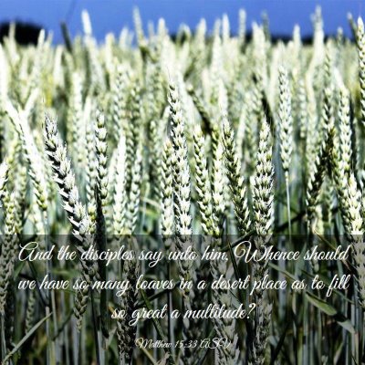 Picture 03 - Matthew 15:33 ASV - And the disciples say unto him, Whence should we - Bible Verse Picture